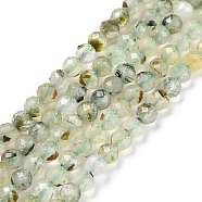 Natural Prehnite Beads Strands, Faceted, Round, 4mm, Hole: 0.7mm, about 93~94pcs/strand, 15.35~15.55 inch(39~39.5cm)(G-C009-A21)