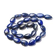Natural Lapis Lazuli Beads Strands, Teardrop, 15x10x4mm, Hole: 0.5mm, about 27pcs/strand, 15.35''(39cm)(G-K311-03D-02)