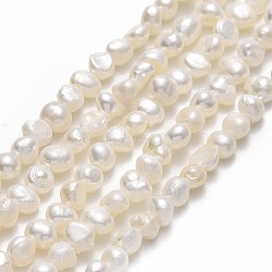 Natural Cultured Freshwater Pearl Beads Strands, Two Sides Polished, Linen, 4~4.5x4x3~4mm, Hole: 0.5mm, about 80~85pcs/strand, 13.78~13.82''(35~35.1cm)(PEAR-A005-05E-01)