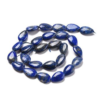 Natural Lapis Lazuli Beads Strands, Teardrop, 15x10x4mm, Hole: 0.5mm, about 27pcs/strand, 15.35''(39cm)