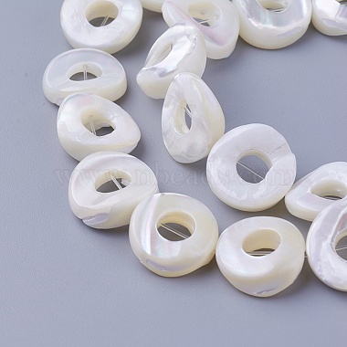 15mm Donut Other Sea Shell Beads