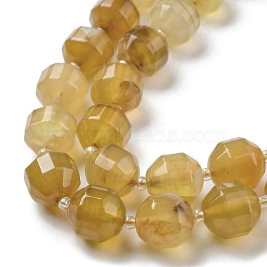 Natural Agate Beads Strands(G-C039-D02)-4