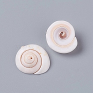 Natural Shiva Eye Shell Beads, Shell Shape, Seashell Color, 20~23x18~19x8~10mm, Hole: 1.2mm(X-BSHE-D019-03)