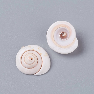 Seashell Color Shell Shiva Eye Shell Beads