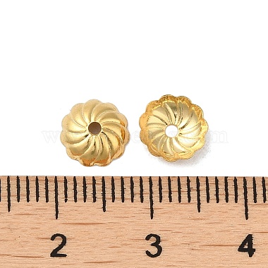 316 Stainless Steel Bead Caps(STAS-C080-01G)-3