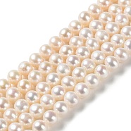 Natural Pearl Beads Strands, Round, Grade 5A+, PapayaWhip, 5~5.5mm, Hole: 0.5mm, about 72pcs/strand, 15.55''(39.5cm)(PEAR-E018-65)