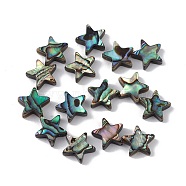 Natural Abalone Shell/Paua Shell Beads, Star, Colorful, 10x10.5x3.5mm, Hole: 0.8mm(SSHEL-M021-01)
