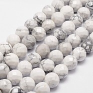 Natural Howlite Beads Strands, Faceted, Round, 12mm, Hole: 1mm, about 31pcs/strand, 14.9 inch~15.1 inch(G-D840-44-12mm)