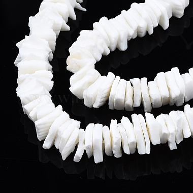 Natural White Shell Beads Strands(SSHEL-S266-029)-3