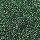 MIYUKI Delica Beads(X-SEED-J020-DB0605)-3