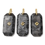 Natural Labradorite Pendants, Rectangle, Golden, 39x19~19.5x7~7.5mm, Hole: 6.5x6.5mm(GG-CBA51ED-05G-02)