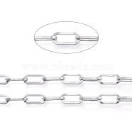 3.28 Feet 304 Stainless Steel Paperclip Chains, Unwelded, Flat Oval, Stainless Steel Color, 13.5x6x1.5mm(X-CHS-D030-02P)