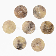 Natural Akoya Shell Beads, Mother of Pearl Shell Beads, Flat Round, Camel, 12x1mm, Hole: 1.4mm(SHEL-R048-028A)