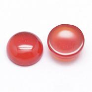 Natural Carnelian Cabochons, Half Round/Dome, 8x4~5mm(G-P215-15-8mm)