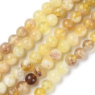 Natural Yellow Opal Beads Strands, Grade A, Round, 6mm, Hole: 0.8mm, about 68~69pcs/strand, 15.67''(39.8cm)(G-Q1001-A01-01)