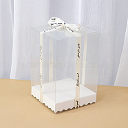 Rectangle Transparent Plastic Packaging Box, for Candle Packaging Gift Box, White, 15x10x10cm(WG30693-09)