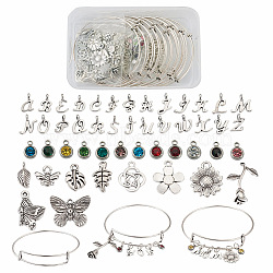 DIY Birthstone Charm Bangle Making Kit, Including 303 Stainless Steel Birthstone & Alloy Letter Charms, Iron Bangle & Jump Rings, Mixed Color, 278Pcs/box(DIY-BY0001-34)