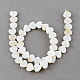 Natural Sea Shell Beads Strands(X-SSHEL-Q296-40)-1