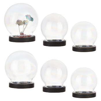 Elite 6 Sets 3 Style Iridescent Glass Dome Cover, Decorative Display Case, Cloche Bell Jar Terrarium with Wood Base, for DIY Preserved Flower Gift, Round, Black, 30~40x32~44.5mm, 2 sets/style