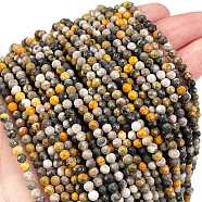 Natural Bumblebee Jasper Beads Strands, Faceted, Round, 3mm, Hole: 0.7mm, about 120~130pcs/strand, 15.35~15.59 inch(39~39.6cm)(G-L597-C03-01)