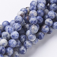 Gemstone Beads, Natural Blue Spot Jasper, Round, Cornflower Blue, 8mm, Hole: 1mm, about 46~48pcs/strand, 16 inch(GSR036)