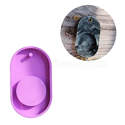 DIY Oval Pendant Silicone Molds, Resin Casting Molds, for Quicksand Craft, Picture Frame Pendant Decoration Making, Dark Orchid, 96x55x12mm, Hole: 5mm(AJEW-A034-04)