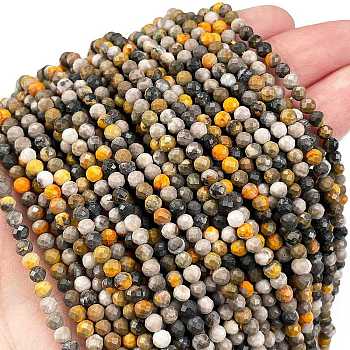 Natural Bumblebee Jasper Beads Strands, Faceted, Round, 3mm, Hole: 0.7mm, about 120~130pcs/strand, 15.35~15.59 inch(39~39.6cm)