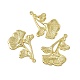 Rack Plating Brass Pendants(KK-C007-26G)-1