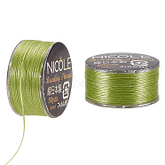 Nylon Beading Thread, Seed Bead Thread, Nylon String for Jewelry Beading Bracelets Making, Green, 0.1mm, about 50.31 Yards(46m)/Roll(NWIR-WH0005-10P)