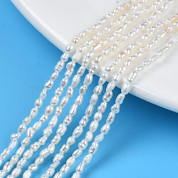 Natural Cultured Freshwater Pearl Beads Strands, Rice, Seashell Color, 2.5~4.5x1.5~2.5mm, Hole: 0.5mm, about 79~81pcs/strand, 13.78 inch(35cm)(PEAR-N012-02H)