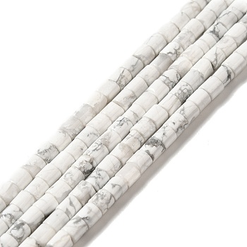 Natural Howlite Beads Strands, Column, 4x4mm, Hole: 0.9mm, about 100pcs/strand, 15.35''(39cm)
