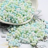 Macaron Color Opaque Frosted Glass Seed Beads, Peanut, Colorful, 6x3x3mm, Hole: 1.2mm, about 4000pcs/pound(SEED-K009-12B-03)