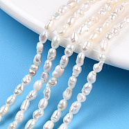 Natural Cultured Freshwater Pearl Beads Strands, Baroque Keshi Pearl Rice Beads, Seashell Color, 2.5~4x2~3mm, Hole: 0.7~0.8mm, about 44~52pcs/strand, 7.09 inch(18cm)(PEAR-N012-02M)