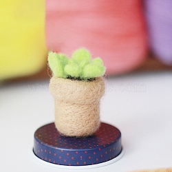 Succulent Plant Needle Felting Kit, including Instructions, 1Pc Foam, 3Pcs Needles, 3 Colors Wool, Mixed Color(DIY-K053-08)