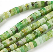 Natural Serpentine Beads Strands, Rondelle, 6x3mm, Hole: 0.8mm, about 136pcs/strand, 16 inch(40.8cm)(G-F612-03)