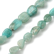 Natural Amazonite Beads Strands, Nuggets Shape, Tumbled Stone, 6x8mm, Hole: 1mm, about 59pcs/strand, 15.55''(39.5cm)(G-Z034-D06-01)