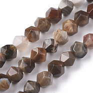 Natural Petrified Wood Beads Strands, Star Cut Round Beads, Faceted, 6mm, Hole: 1mm, about 62pcs/strand, 15.16 inch(38.5cm)(G-F668-02-6mm)