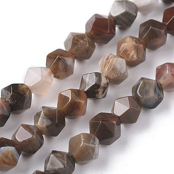 Natural Petrified Wood Beads Strands, Star Cut Round Beads, Faceted, 6mm, Hole: 1mm, about 62pcs/strand, 15.16 inch(38.5cm)