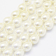 Shell Pearl Beads Strands(BSHE-P024-05)-1