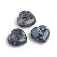 Natural Larvikitee Heart Love Stone, Pocket Palm Stone for Reiki Balancing, 29.5~30x30~30.5x14.5mm(G-I274-46B)