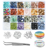 DIY Gemstone Bracelet Necklace Making Kit, Including Natural & Synthetic Mixed Stone & Glass Chip BeadS, Alloy Clasps, Copper Jewelry Wire, Tweezers, Elastic Thread, Chips: 161~176G/set(DIY-YW0006-40)
