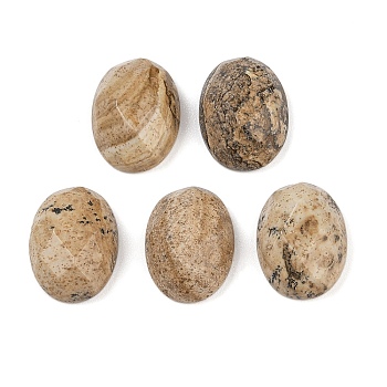 Natural Picture Jasper Cabochons, Oval, 16x12x6mm