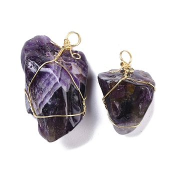 Raw Rough Natural Amethyst Copper Wire Wrapped Pendants, Nuggets Charms, Golden, 27~45x22~27x17.5~20.5mm, Hole: 5mm