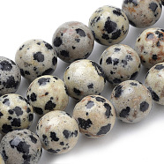 Natural Dalmatian Jasper Beads Strands, Round, 10mm, Hole: 1mm, about 38pcs/strand, 15.7 inch(G-S259-24-10mm)