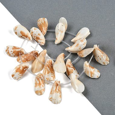 Natural Shell Beads Strands(SHEL-K009-12)-2