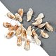 Natural Shell Beads Strands(SHEL-K009-12)-2