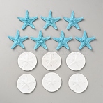 Opaque Resin Cabochons Kit, Starfish & Flat Round, White, Sky Blue, 49~51x47~54x7~12mm, 13pcs/set(RESI-WH0035-60)