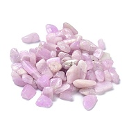 Natural Kunzite Beads, No Hole/Undrilled, Chip, Tumbled Stone, Vase Filler Gems, 6~18x3.5~9x2.5~7mm, about 178pcs/100g(G-C231-04)