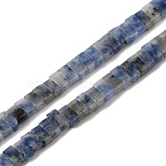 Natural Blue Spot Jasper Beads Strands, 2-Hole, Rectangle, 2.5~3x5x2.5mm, Hole: 0.8mm, about 138~140pcs/strand, 15.28''~15.31''(38.8~38.9cm)(G-Z045-A08-01)