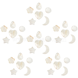 SUNNYCLUE Natural Freshwater Shell Pendants, Mixed Shapes, 36pcs/box(SHEL-SC0001-07)